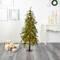 5ft. Pre-Lit Wyoming Alpine & Pinecone Artificial Christmas Tree, Clear LED Lights